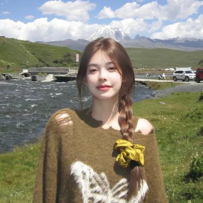 女记者查案记封面